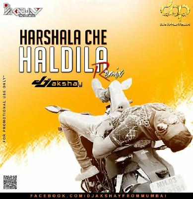 Harshala Che Haldila (Remix) - DJ Akshay From Mumbai
